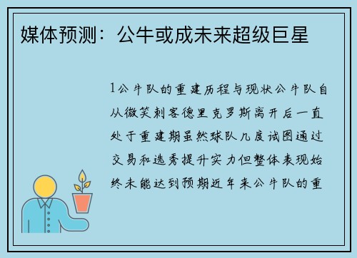 媒体预测：公牛或成未来超级巨星